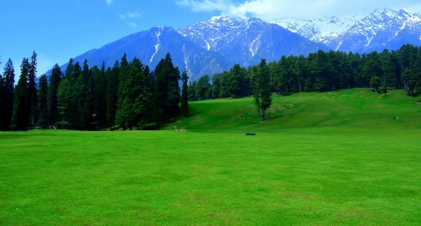 Health Checkup Tests for Senior Citizens